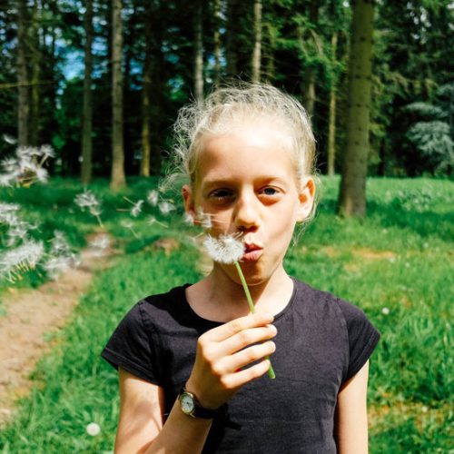 photo-1464031571094-9b1712791444-web